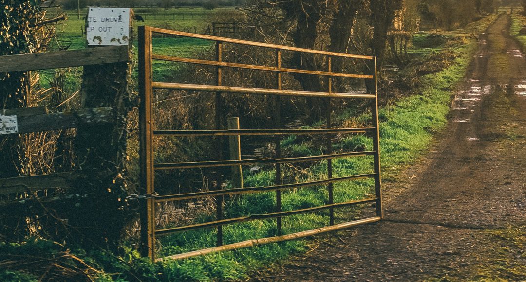 metal gate in front of hedge