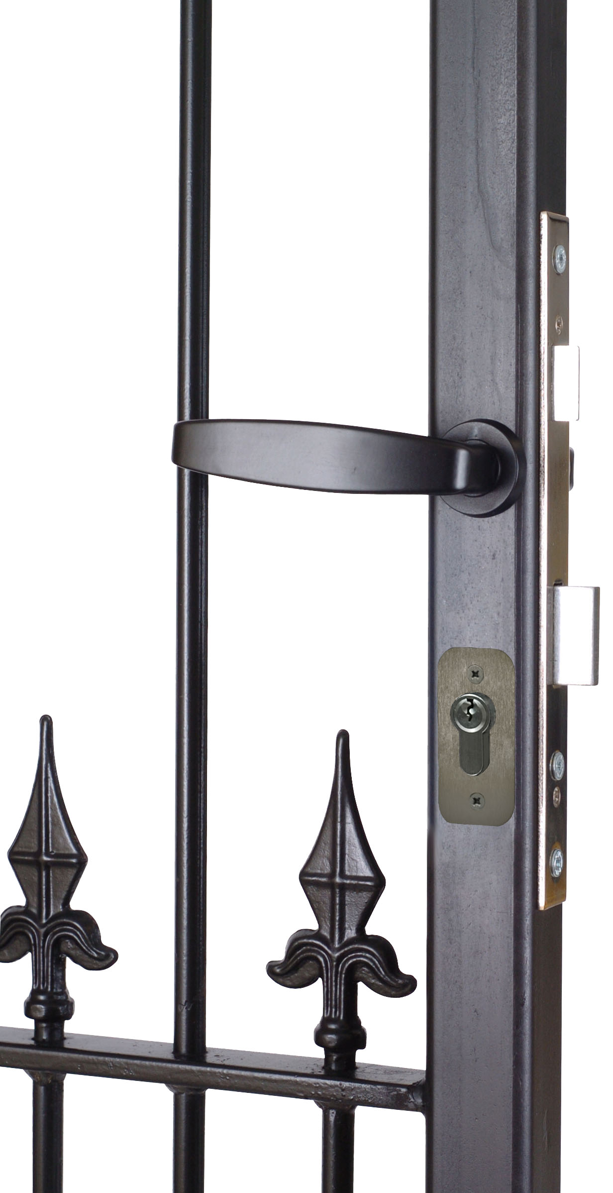 Mortise insert lock in metal gate