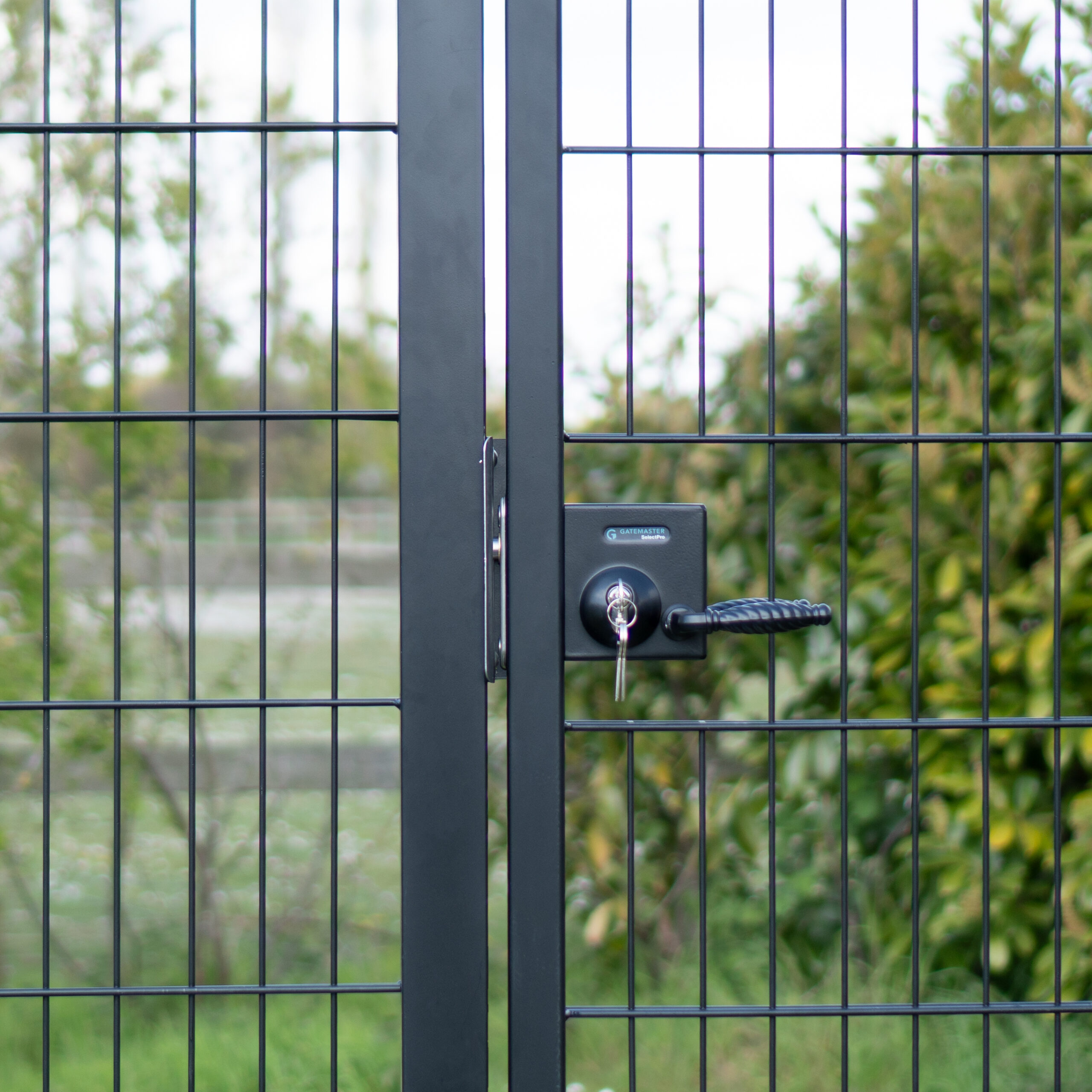 gate lock with twisted handles in metal gate frame