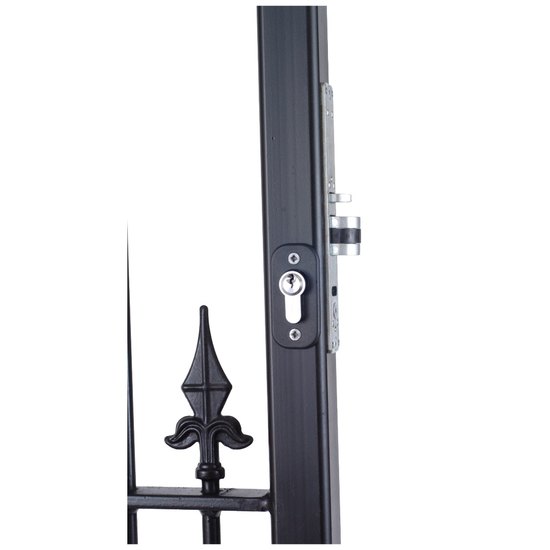 Black gate lock in gate